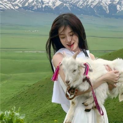 怪医杜立德 在线观看